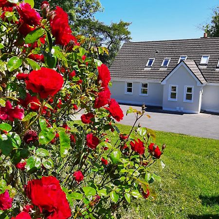 Abhainn Ri Cottages Blessington Extérieur photo