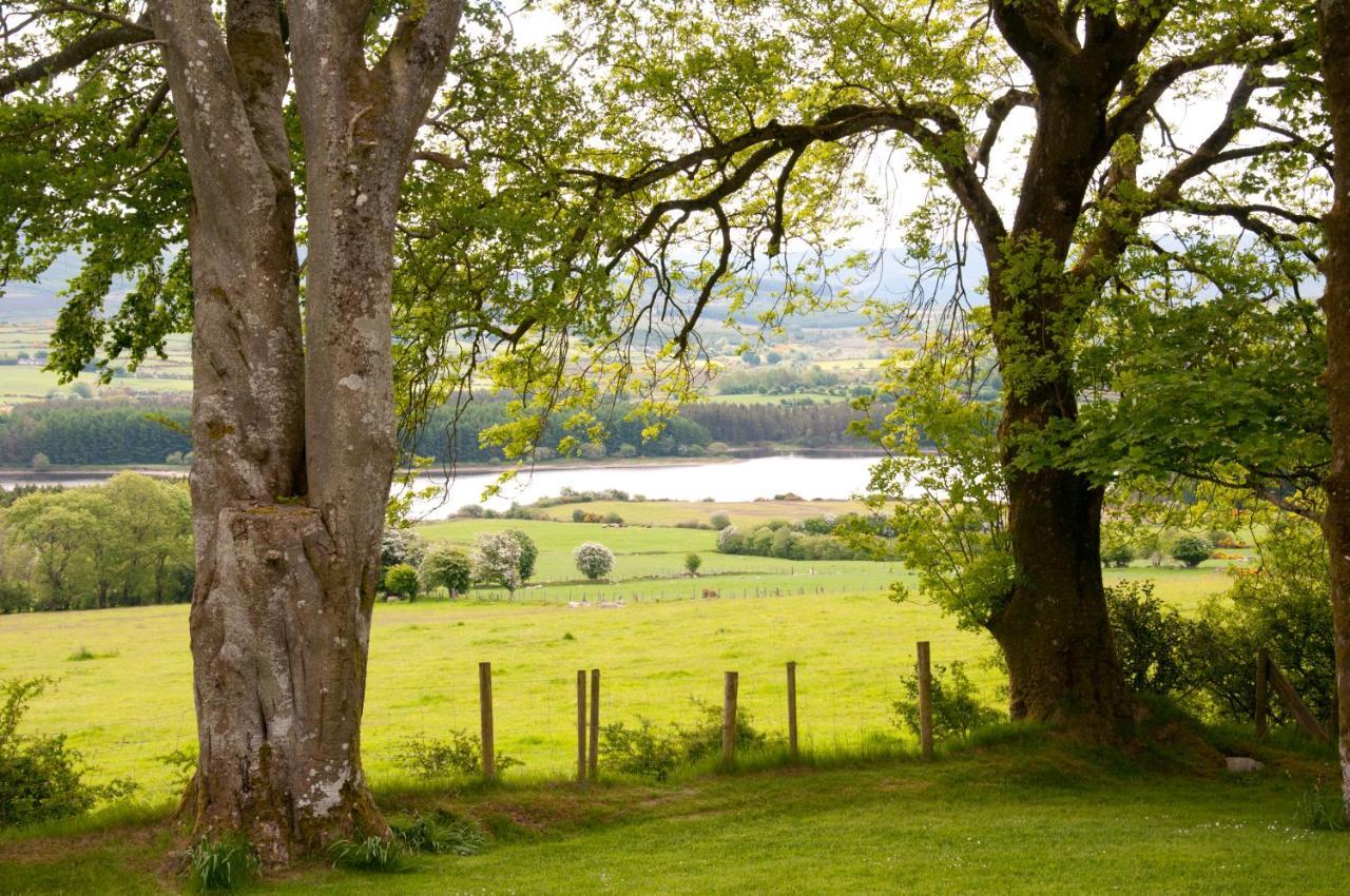 Abhainn Ri Cottages Blessington Extérieur photo
