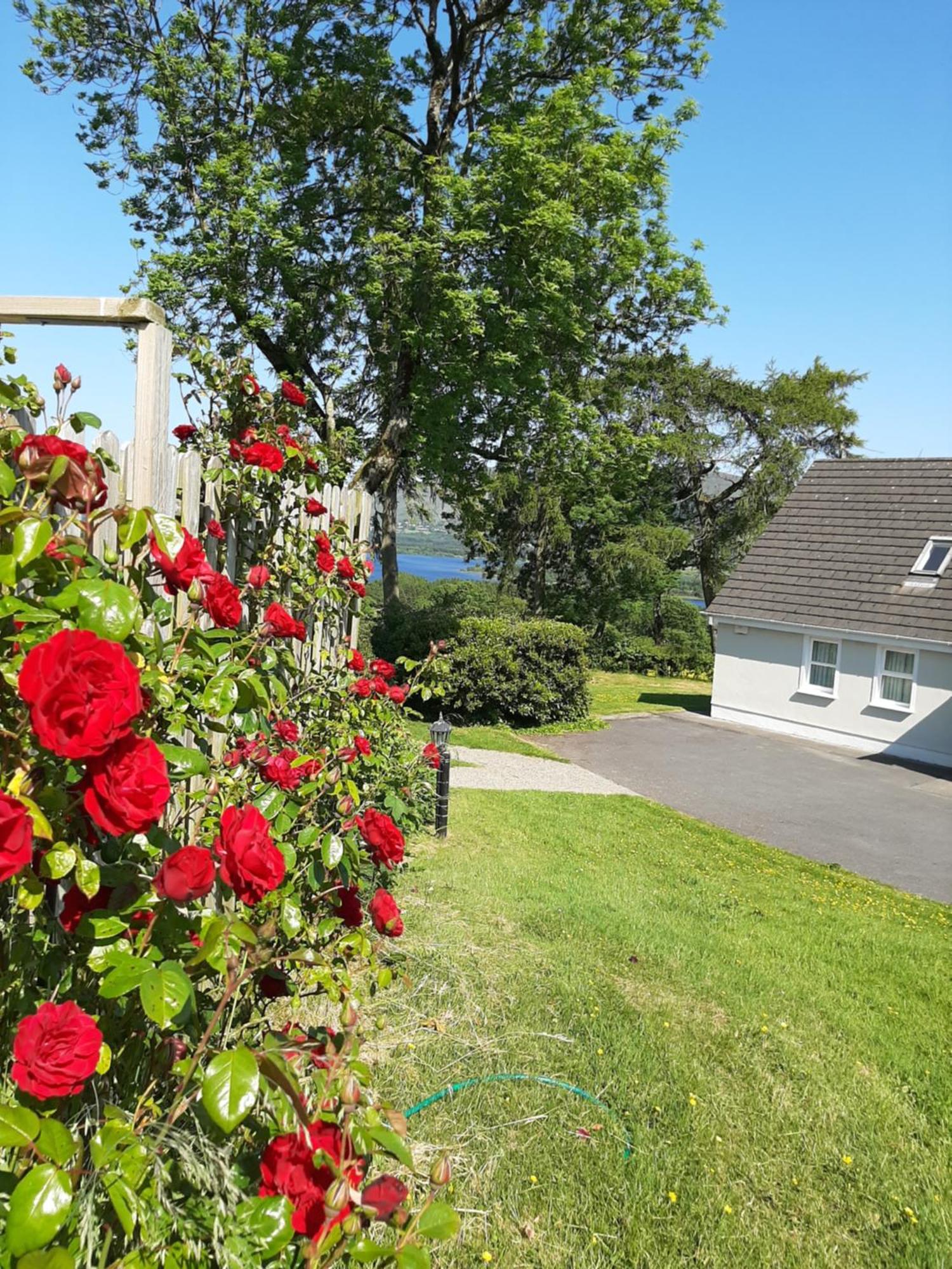 Abhainn Ri Cottages Blessington Extérieur photo